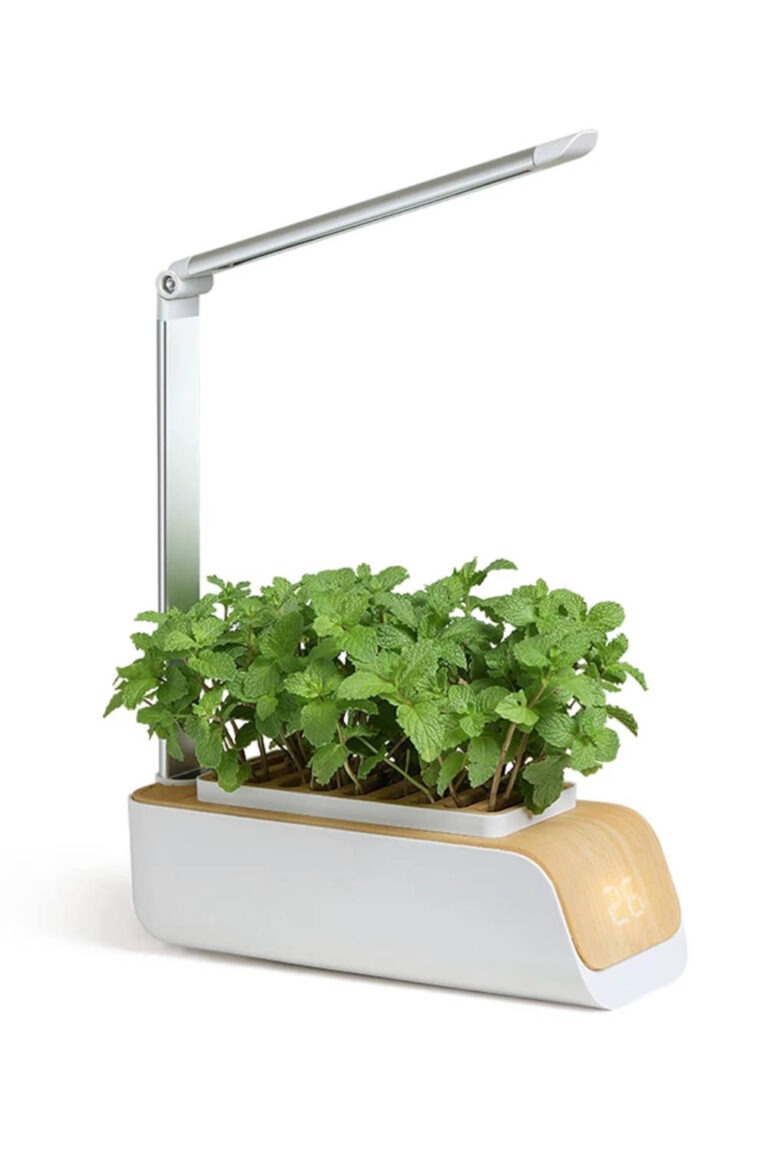 Смарт саксия за ароматни растения за домашно градинарство